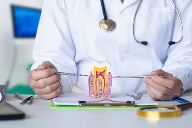 Best Emergency Dental Services for Seniors in Aspen Hill, MD
